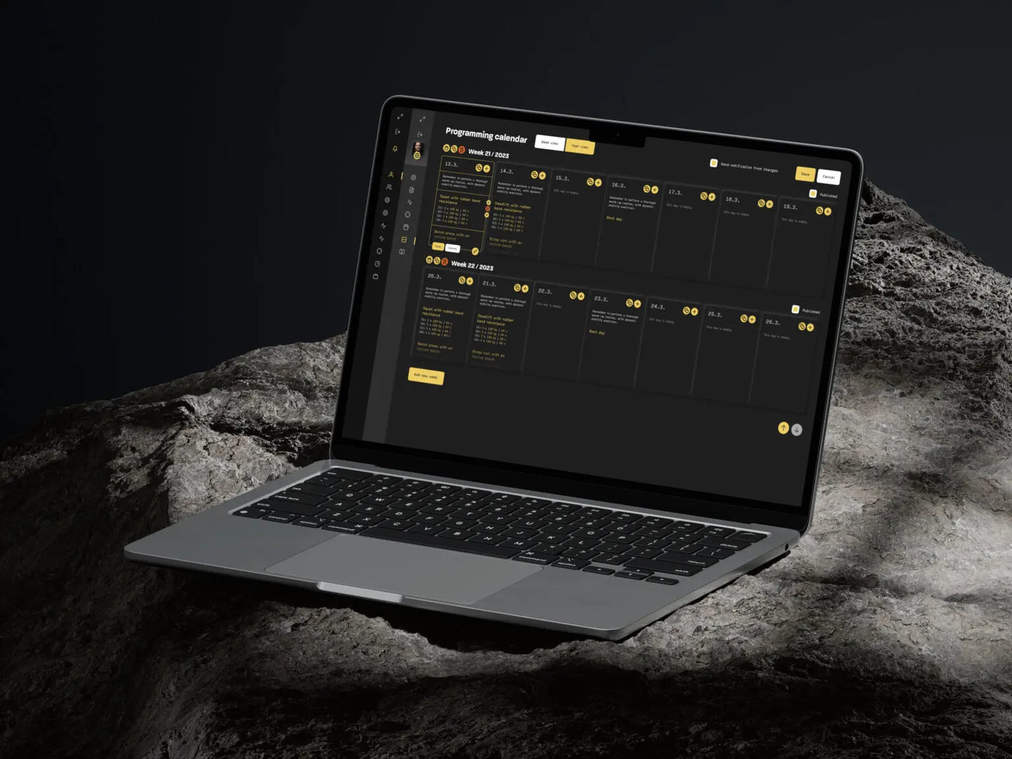 BBT online coaching (1 month)